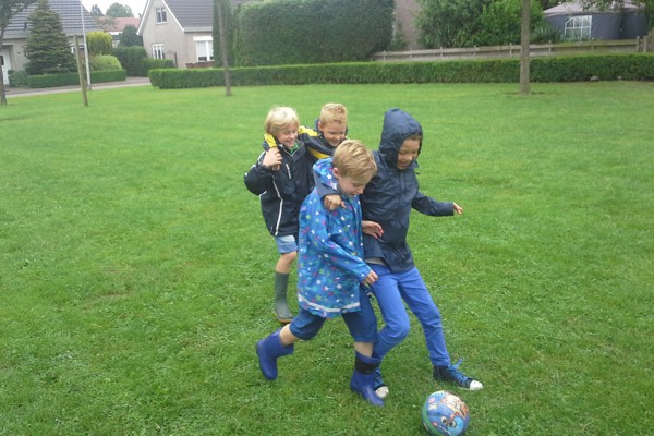 Bloemkool snijden. 