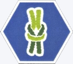insigne knopen