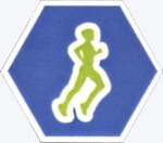 insigne sport